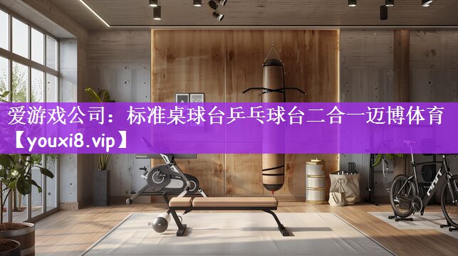 爱游戏公司：标准桌球台乒乓球台二合一迈博体育