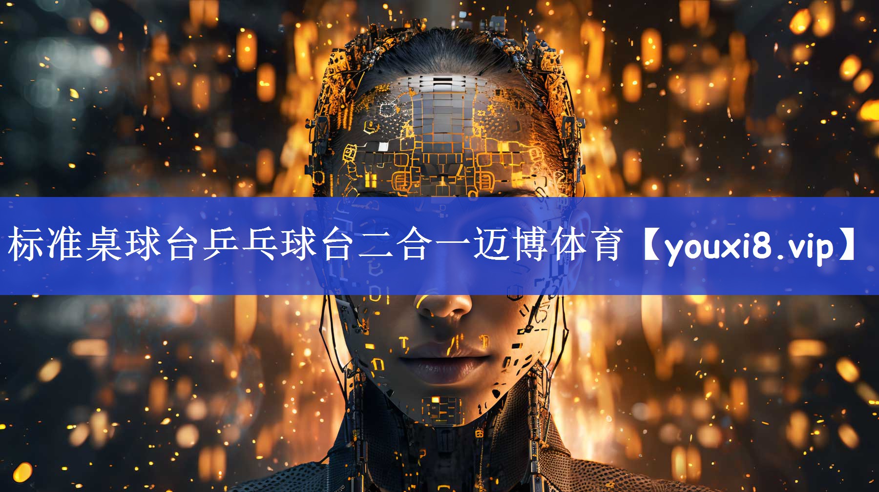 标准桌球台乒乓球台二合一迈博体育