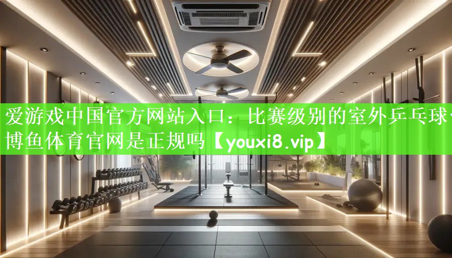 爱游戏中国官方网站入口：比赛级别的室外乒乓球台博鱼体育官网是正规吗