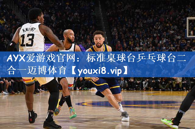 AYX爱游戏官网：标准桌球台乒乓球台二合一迈博体育