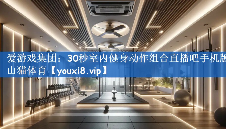 爱游戏集团：30秒室内健身动作组合直播吧手机版山猫体育
