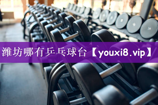潍坊哪有乒乓球台