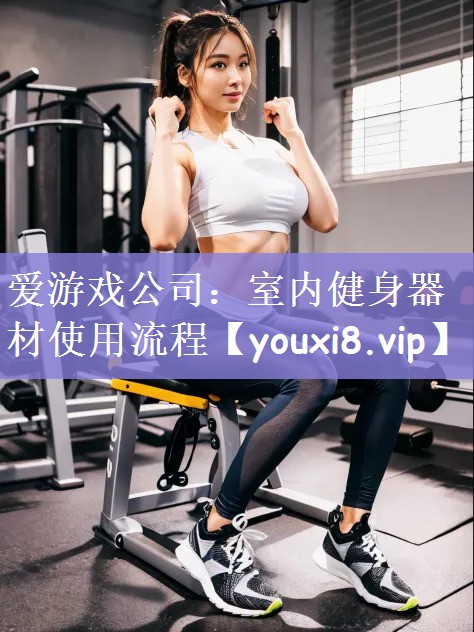 爱游戏公司：室内健身器材使用流程